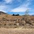  Land for sale in Amatitan, Jalisco, Amatitan