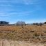  Land for sale in Amatitan, Jalisco, Amatitan