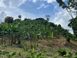  Villa en venta en Caicedonia, Valle Del Cauca, Caicedonia