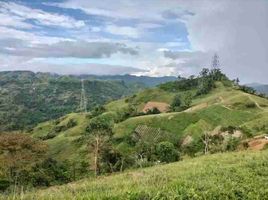  Land for sale in Cebu City, Central Visayas, Cebu City, Cebu