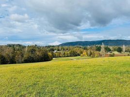  Terreno (Parcela) en venta en Loncoche, Cautín, Loncoche