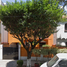 5 Habitación Casa en venta en Miguel Hidalgo, Ciudad de México, Miguel Hidalgo, Ciudad de México