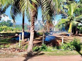  Grundstück zu verkaufen in Dauis, Central Visayas, Dauis