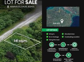  Land for sale in Dauis, Bohol, Dauis