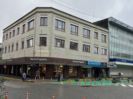 36 SqM Office for rent in Chile, Mariquina, Valdivia, Los Rios, Chile