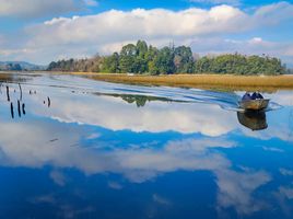  Land for sale in Los Rios, Mariquina, Valdivia, Los Rios
