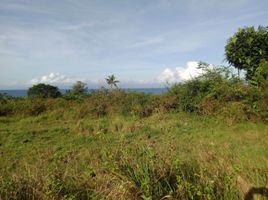  Land for sale in Badian, Cebu, Badian