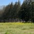  Land for sale in Melipilla, Santiago, Curacavi, Melipilla