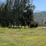 Land for sale in Melipilla, Santiago, Curacavi, Melipilla