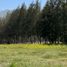  Land for sale in Melipilla, Santiago, Curacavi, Melipilla
