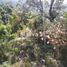  Land for sale in Donato Guerra, Mexico, Donato Guerra