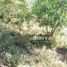  Land for sale in Donato Guerra, Mexico, Donato Guerra