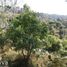  Land for sale in Donato Guerra, Mexico, Donato Guerra