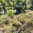  Land for sale in Donato Guerra, Mexico, Donato Guerra