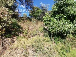  Land for sale in Donato Guerra, Mexico, Donato Guerra