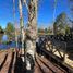 4 chambre Villa for sale in Cautin, Araucania, Villarrica, Cautin