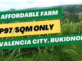  Land for sale in Bukidnon, Northern Mindanao, Valencia City, Bukidnon