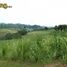  Land for sale in Bukidnon, Northern Mindanao, Valencia City, Bukidnon