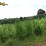  Land for sale in Bukidnon, Northern Mindanao, Valencia City, Bukidnon