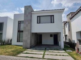 Maison 3 chambre à louer à Toluca, Mexico, Toluca