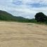  Terrain for sale in Pedernales, Manabi, Pedernales, Pedernales