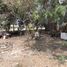  Land for rent in Mandaluyong City, Metro Manila, Mandaluyong City, Eastern District