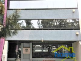113 m2 Office for rent in Alvaro Obregon, Mexico City, Alvaro Obregon