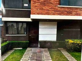 Maison 3 chambre à louer à Toluca, Mexico, Toluca