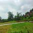  Land for sale in Malang Regency, East Jawa, Klojen, Malang Regency