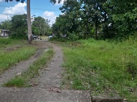  Terreno (Parcela) en venta en Samborondón, Guayas, Samborondon, Samborondón