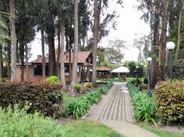 3 Habitación Casa en venta en Chia, Cundinamarca, Chia