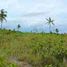  Land for sale in Moalboal, Cebu, Moalboal