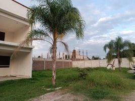  Terreno (Parcela) en venta en Xochitepec, Morelos, Xochitepec