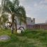  Terreno (Parcela) en venta en Xochitepec, Morelos, Xochitepec