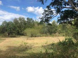  Land for sale in Batangas, Calabarzon, Rosario, Batangas