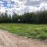  Land for sale in San Miguel De Ibarra, Imbabura, San Miguel De Ibarra, Ibarra