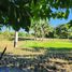  Terrain for sale in Isabela, Cagayan Valley, Reina Mercedes, Isabela