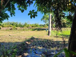  Terrain for sale in Isabela, Cagayan Valley, Reina Mercedes, Isabela