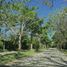  Terreno (Parcela) en venta en Merida, Yucatán, Merida, Yucatán