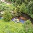  Land for sale in Chile, Mariquina, Valdivia, Los Rios, Chile