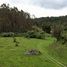 Land for sale in Chile, Mariquina, Valdivia, Los Rios, Chile