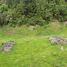  Land for sale in Chile, Mariquina, Valdivia, Los Rios, Chile