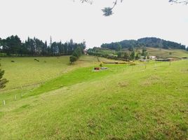  Terreno (Parcela) en venta en Tarqui, Cuenca, Tarqui