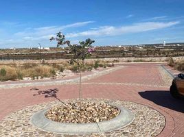  Land for sale in Lagos De Moreno, Jalisco, Lagos De Moreno