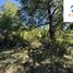  Terreno (Parcela) en venta en Cautín, Araucanía, Pucón, Cautín