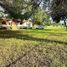 3 Habitación Casa en venta en Salvador Escalante, Michoacán, Salvador Escalante