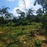  Land for sale in Ulu Selangor Selangor, Batang Kali, Ulu Selangor, Selangor, Malaysia