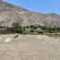  Land for sale in Lunahuana, Lima, Lunahuana