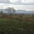  Land for sale in San Martin, Tarapoto, San Martin, San Martin