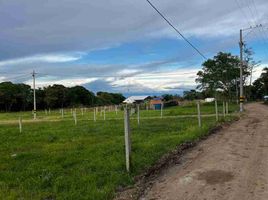  Land for sale in Tolima, Ibague, Tolima